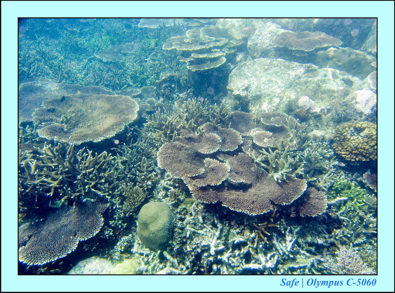 2008 - 07 - Redang - 005